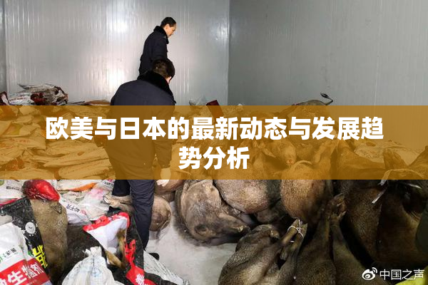 欧美与日本的最新动态与发展趋势分析
