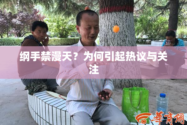 纲手禁漫天？为何引起热议与关注