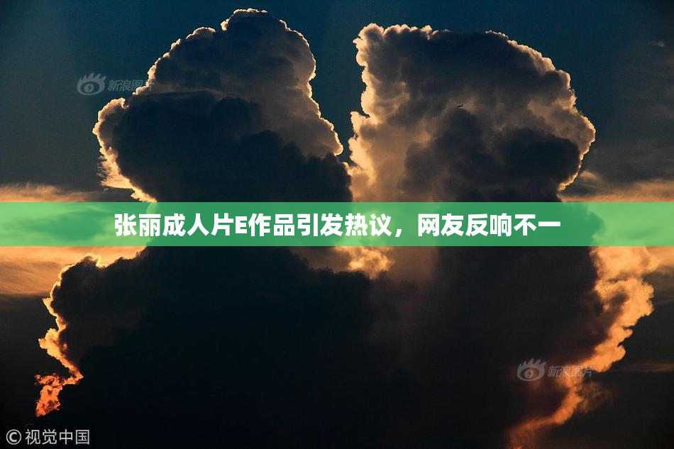 张丽成人片E作品引发热议，网友反响不一