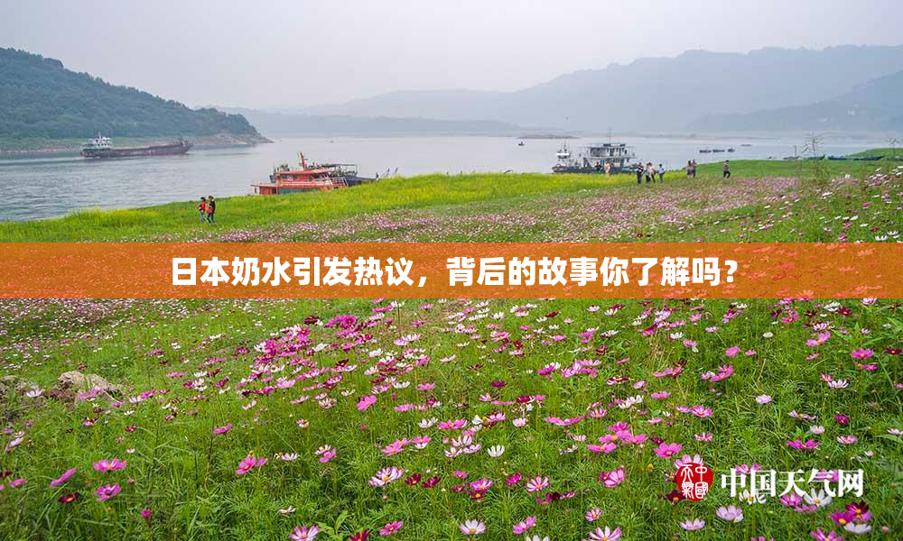 日本奶水引发热议，背后的故事你了解吗？