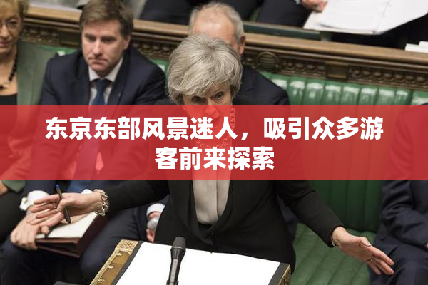 东京东部风景迷人，吸引众多游客前来探索