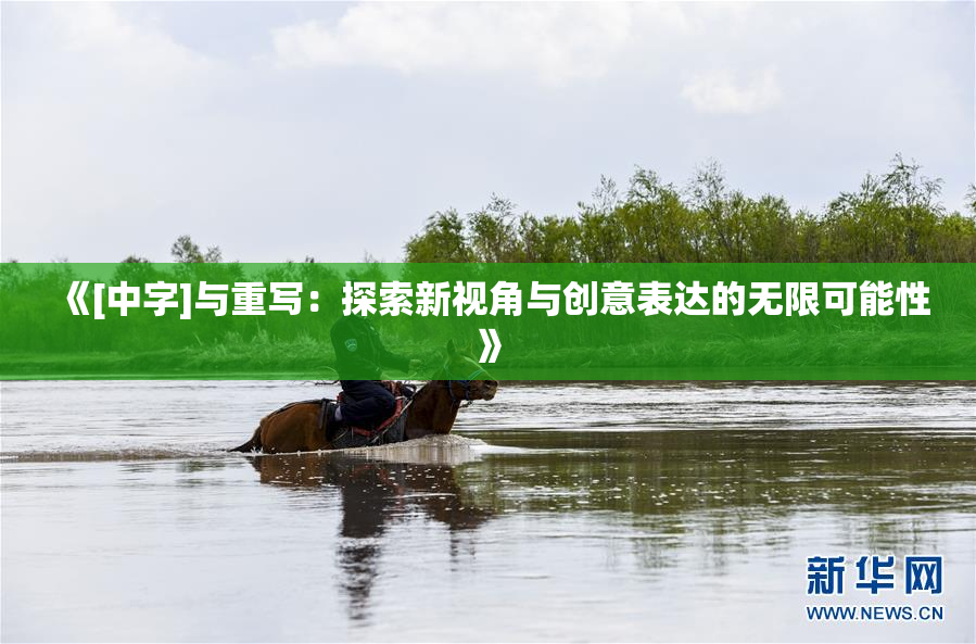 《[中字]与重写：探索新视角与创意表达的无限可能性》