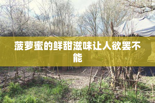 菠萝蜜的鲜甜滋味让人欲罢不能
