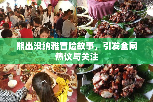 熊出没纳雅冒险故事，引发全网热议与关注