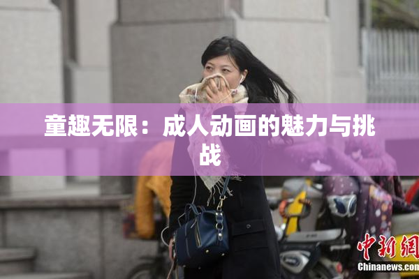 童趣无限：成人动画的魅力与挑战