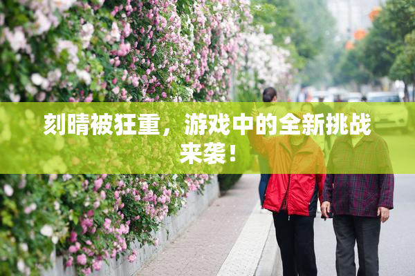 刻晴被狂重，游戏中的全新挑战来袭！