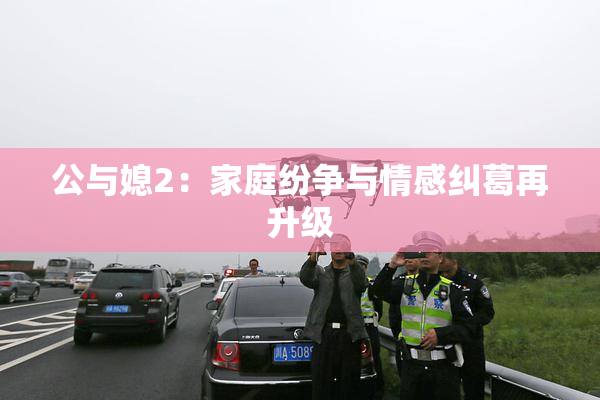 公与媳2：家庭纷争与情感纠葛再升级