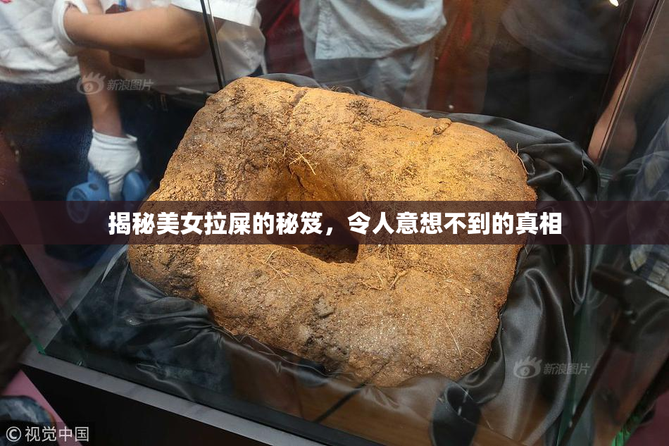 揭秘美女拉屎的秘笈，令人意想不到的真相