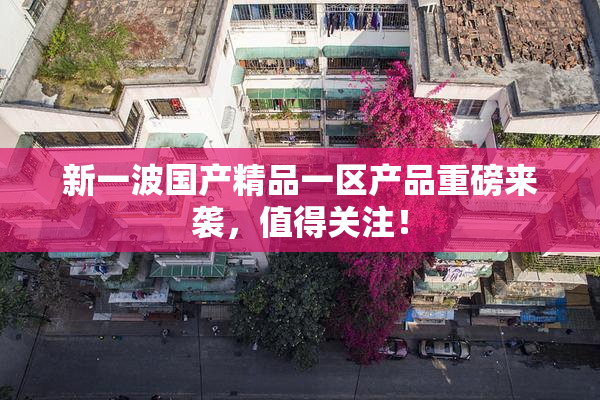 新一波国产精品一区产品重磅来袭，值得关注！