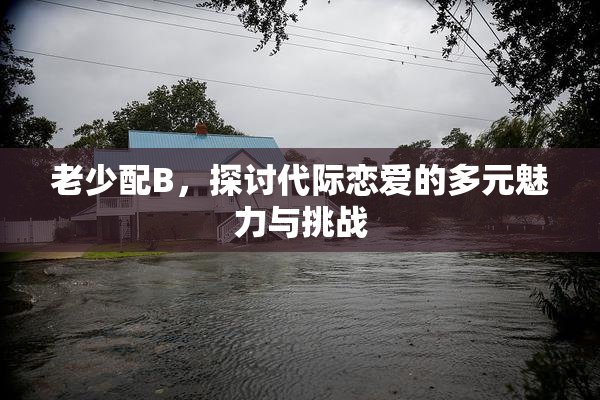 老少配B，探讨代际恋爱的多元魅力与挑战