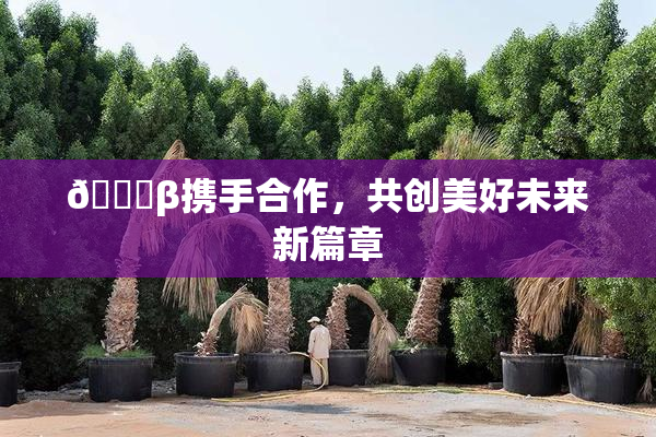 👙β携手合作，共创美好未来新篇章