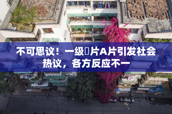 不可思议！一级婬片A片引发社会热议，各方反应不一