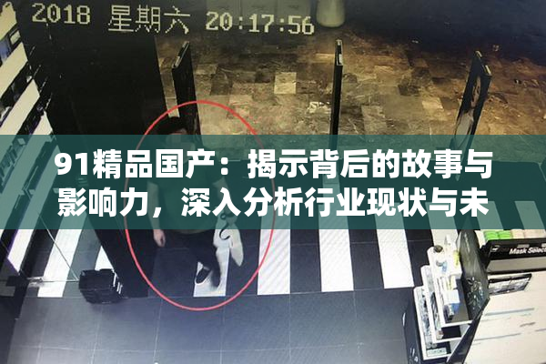 91精品国产：揭示背后的故事与影响力，深入分析行业现状与未来趋势
