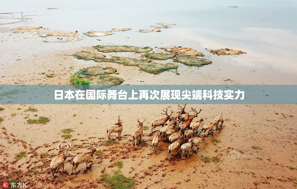 日本在国际舞台上再次展现尖端科技实力