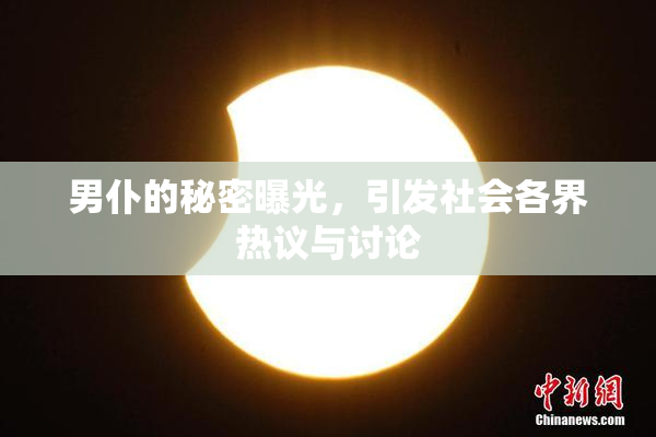 男仆的秘密曝光，引发社会各界热议与讨论