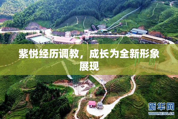 紫悦经历调教，成长为全新形象展现