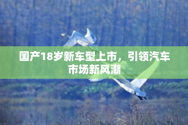 国产18岁新车型上市，引领汽车市场新风潮