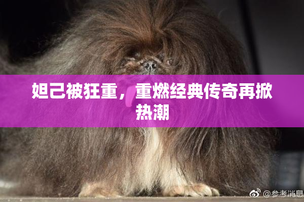 妲己被狂重，重燃经典传奇再掀热潮