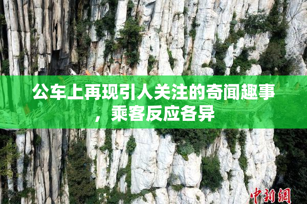 公车上再现引人关注的奇闻趣事，乘客反应各异