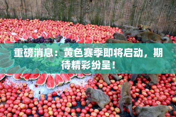 重磅消息：黄色赛季即将启动，期待精彩纷呈！