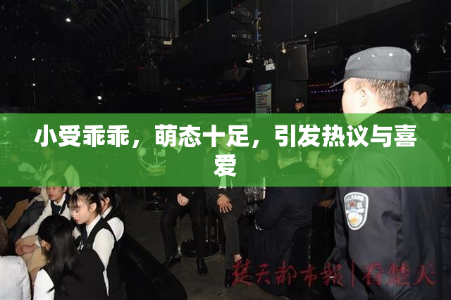 小受乖乖，萌态十足，引发热议与喜爱