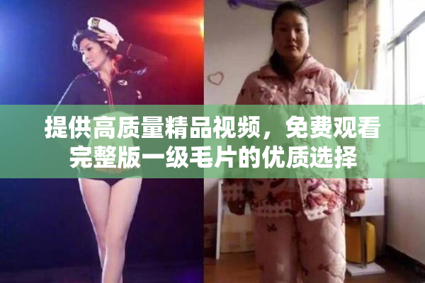 提供高质量精品视频，免费观看完整版一级毛片的优质选择