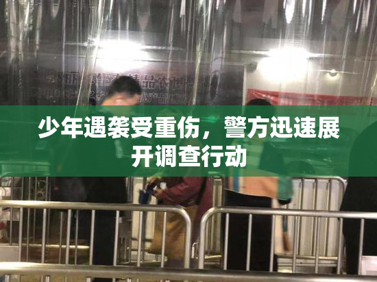 少年遇袭受重伤，警方迅速展开调查行动