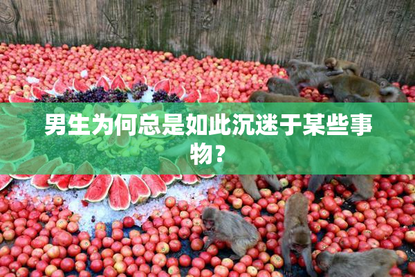 男生为何总是如此沉迷于某些事物？