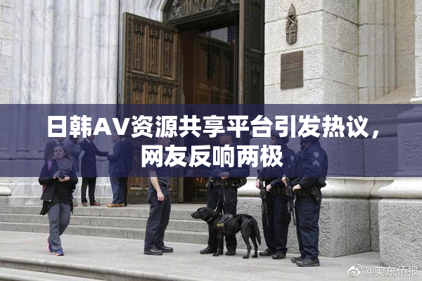 日韩AV资源共享平台引发热议，网友反响两极