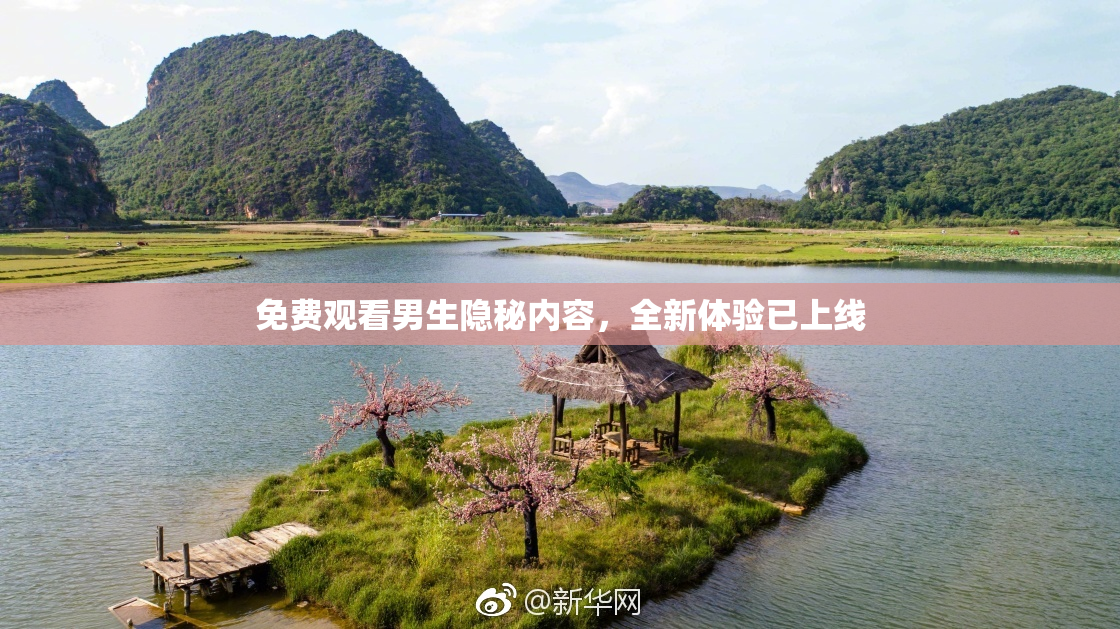 免费观看男生隐秘内容，全新体验已上线