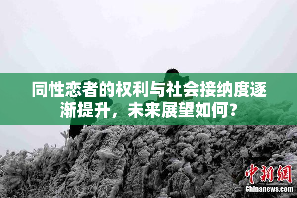 同性恋者的权利与社会接纳度逐渐提升，未来展望如何？