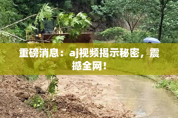 重磅消息：aj视频揭示秘密，震撼全网！