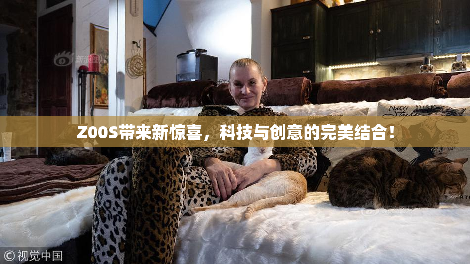 Z00S带来新惊喜，科技与创意的完美结合！