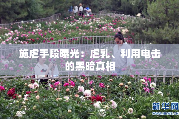 施虐手段曝光：虐乳、利用电击的黑暗真相