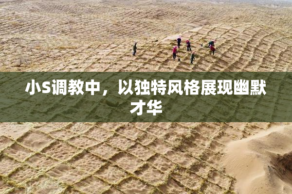 小S调教中，以独特风格展现幽默才华
