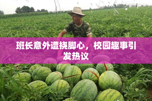 班长意外遭挠脚心，校园趣事引发热议