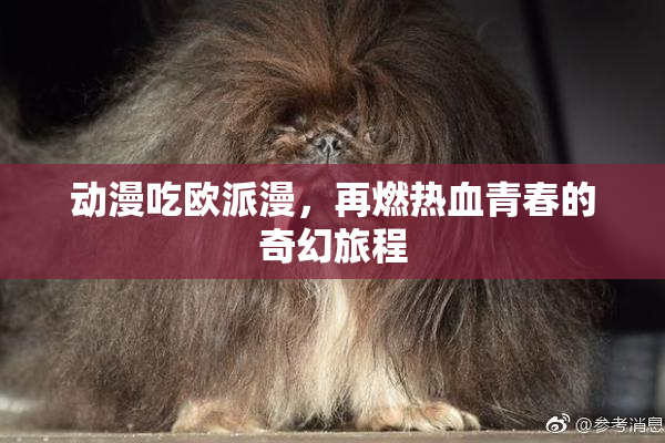 动漫吃欧派漫，再燃热血青春的奇幻旅程