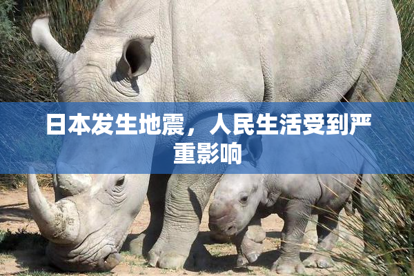 日本发生地震，人民生活受到严重影响