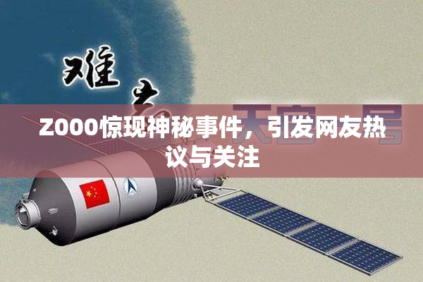 Z000惊现神秘事件，引发网友热议与关注