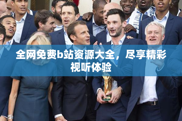 全网免费b站资源大全，尽享精彩视听体验