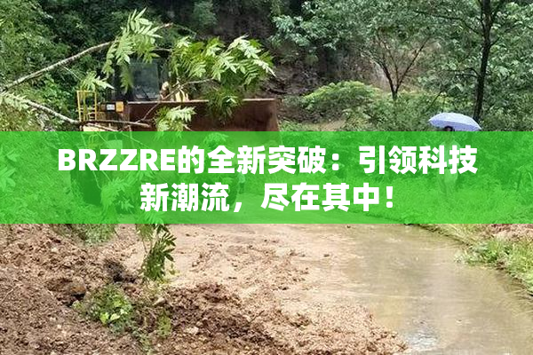 BRZZRE的全新突破：引领科技新潮流，尽在其中！