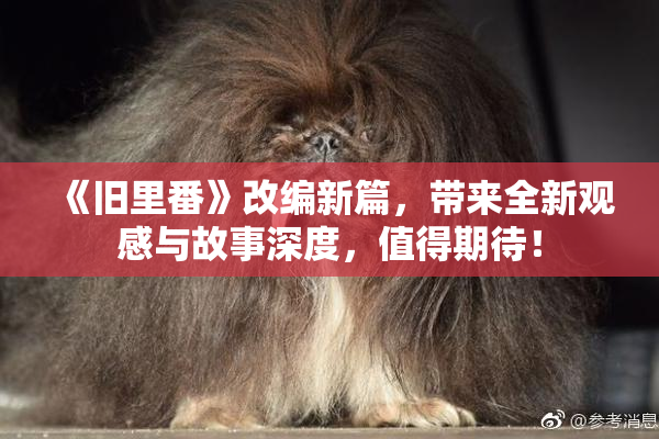 《旧里番》改编新篇，带来全新观感与故事深度，值得期待！