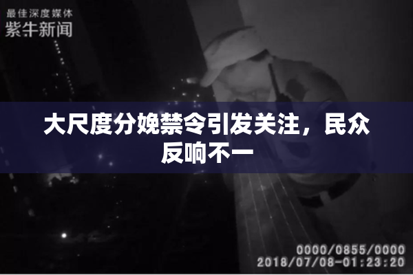 大尺度分娩禁令引发关注，民众反响不一