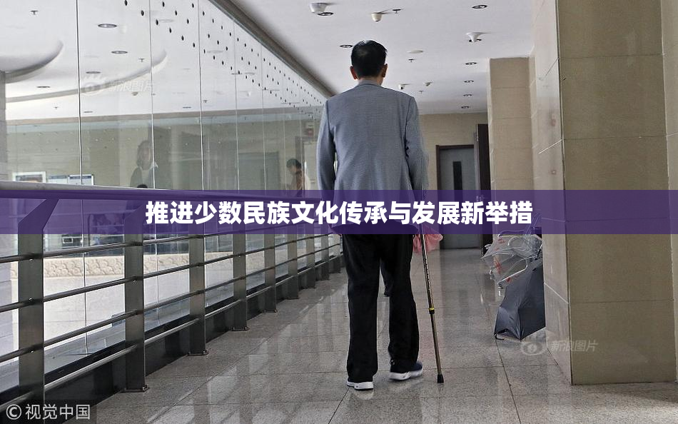 推进少数民族文化传承与发展新举措