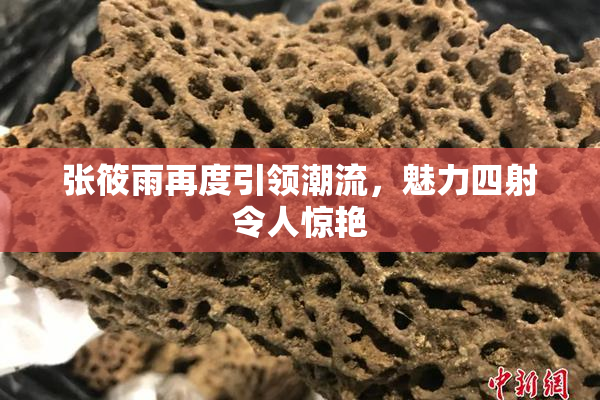 张筱雨再度引领潮流，魅力四射令人惊艳