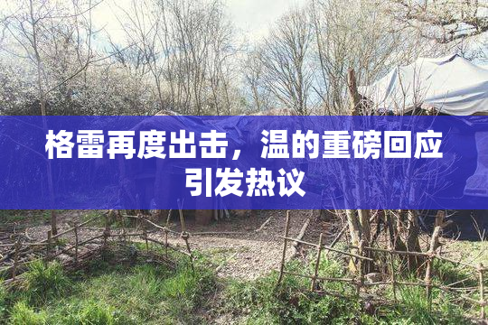 格雷再度出击，温的重磅回应引发热议