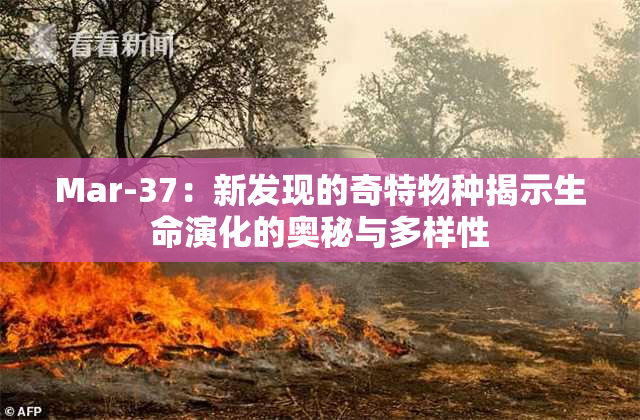 Mar-37：新发现的奇特物种揭示生命演化的奥秘与多样性