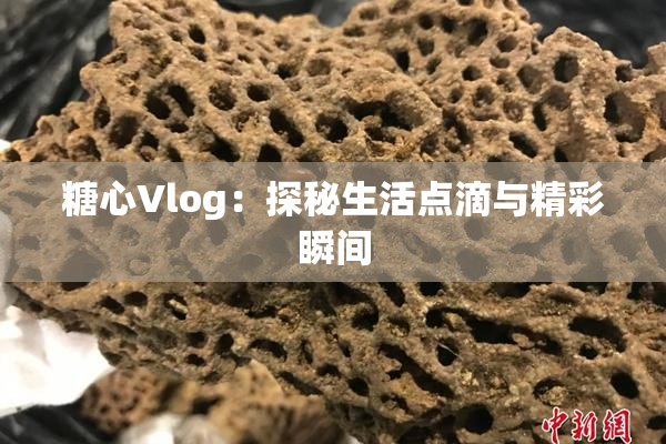 糖心Vlog：探秘生活点滴与精彩瞬间