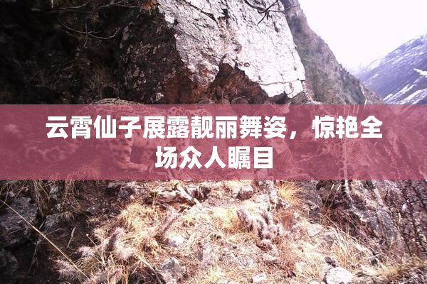 云霄仙子展露靓丽舞姿，惊艳全场众人瞩目
