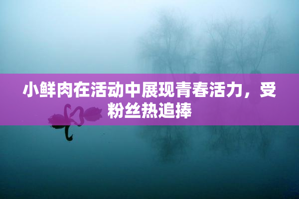 小鲜肉在活动中展现青春活力，受粉丝热追捧
